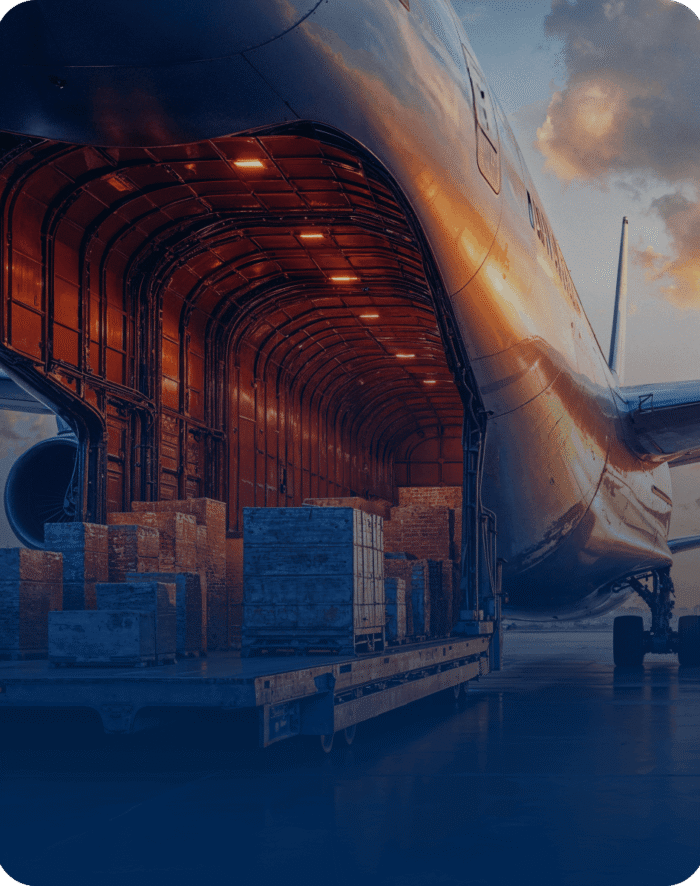 OUR CASE STUDIES 2 (1)